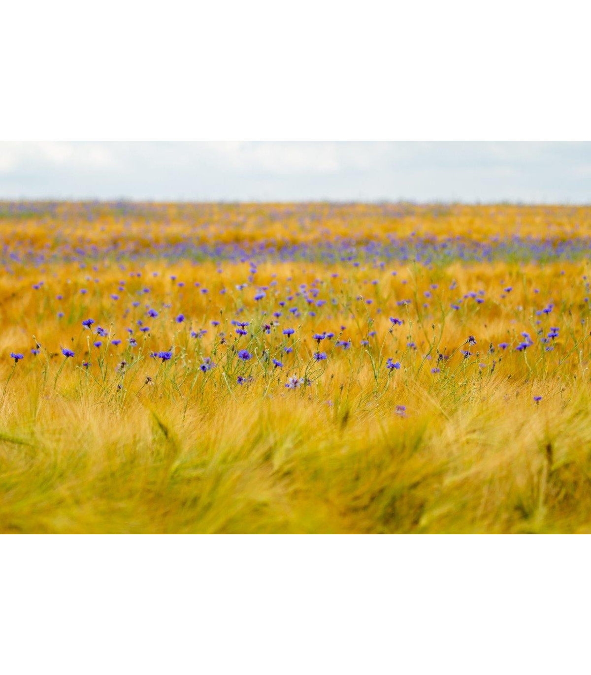 3 minuty pro štěstí