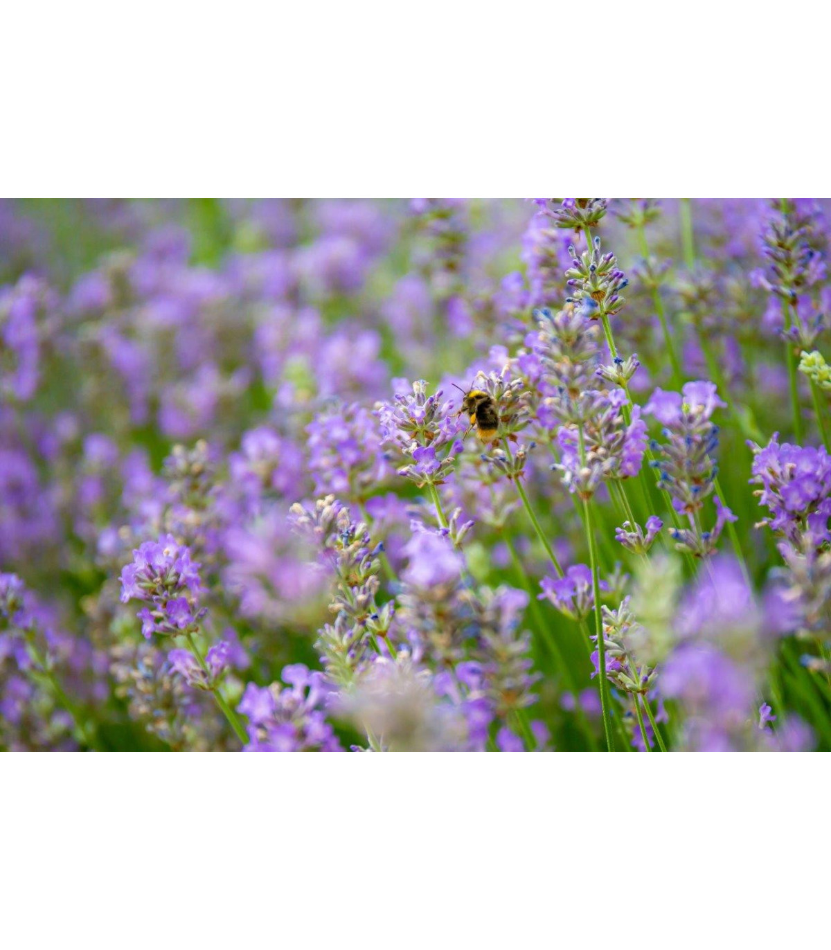 3 minuty pro štěstí