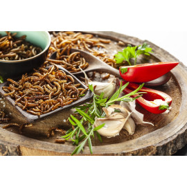 Pražení červíci v dárkové krabičce