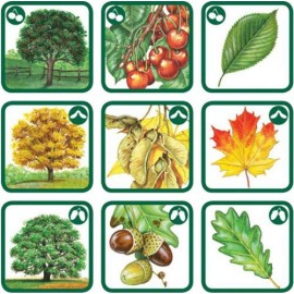 Pexetrio - Znáš naše houby?