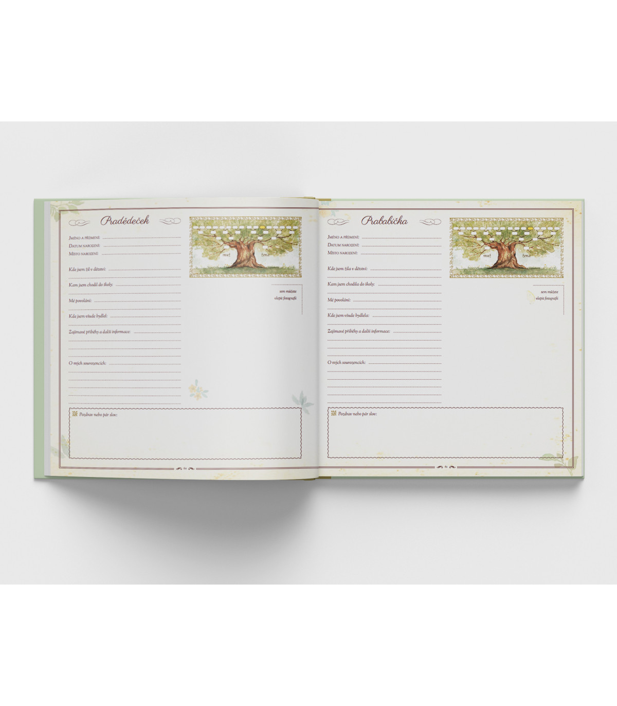 Strom života naší rodiny