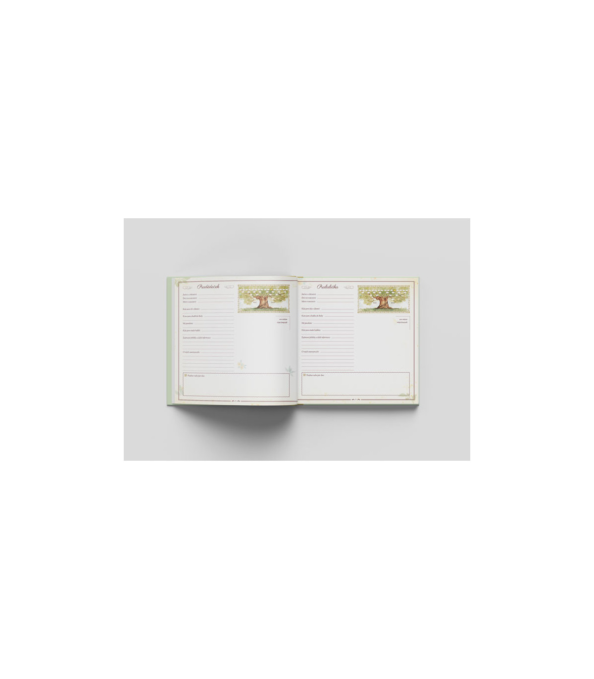 Strom života naší rodiny